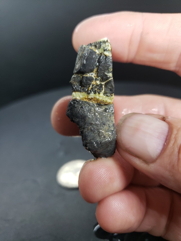 Gecko Variscite Slab