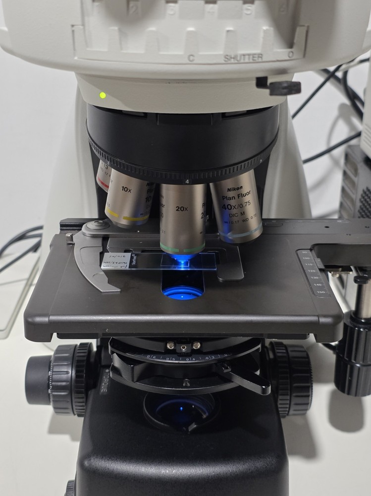 Nikon Eclipse Ni Fluorescence Microscope Ni-U