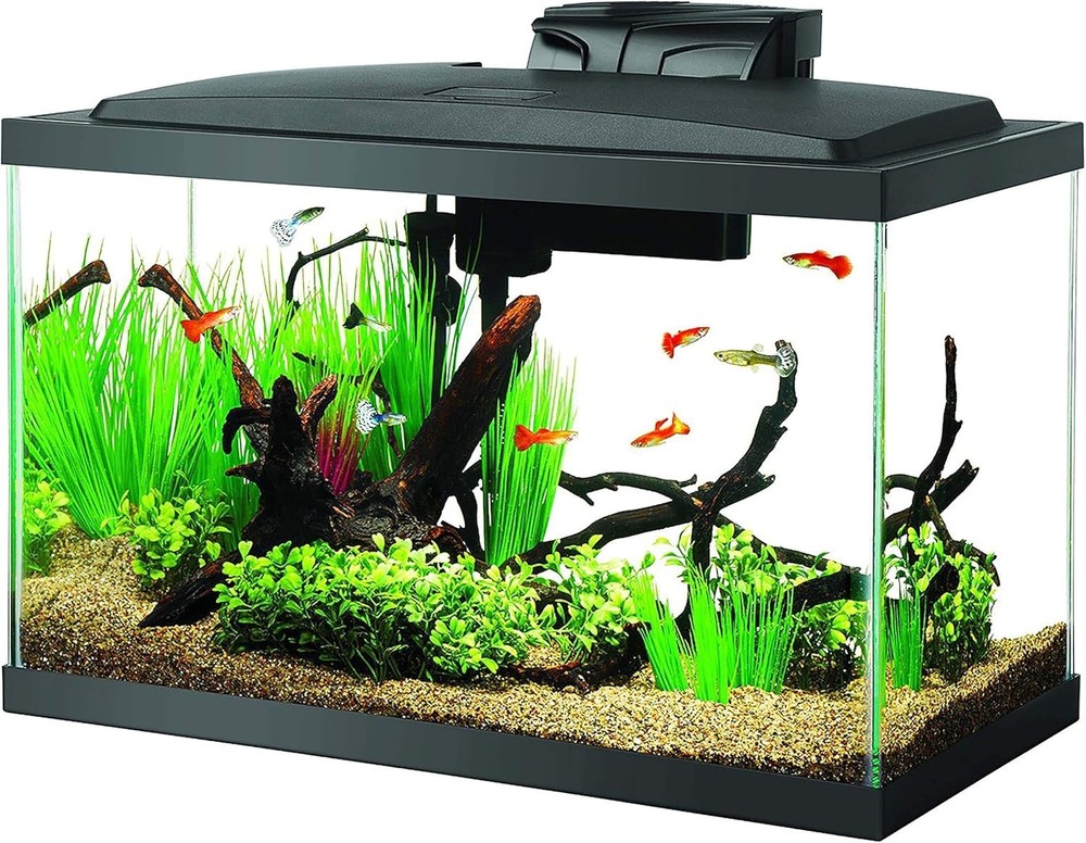 Aqueon LED Fish Aquarium Starter Kit, 10-gal