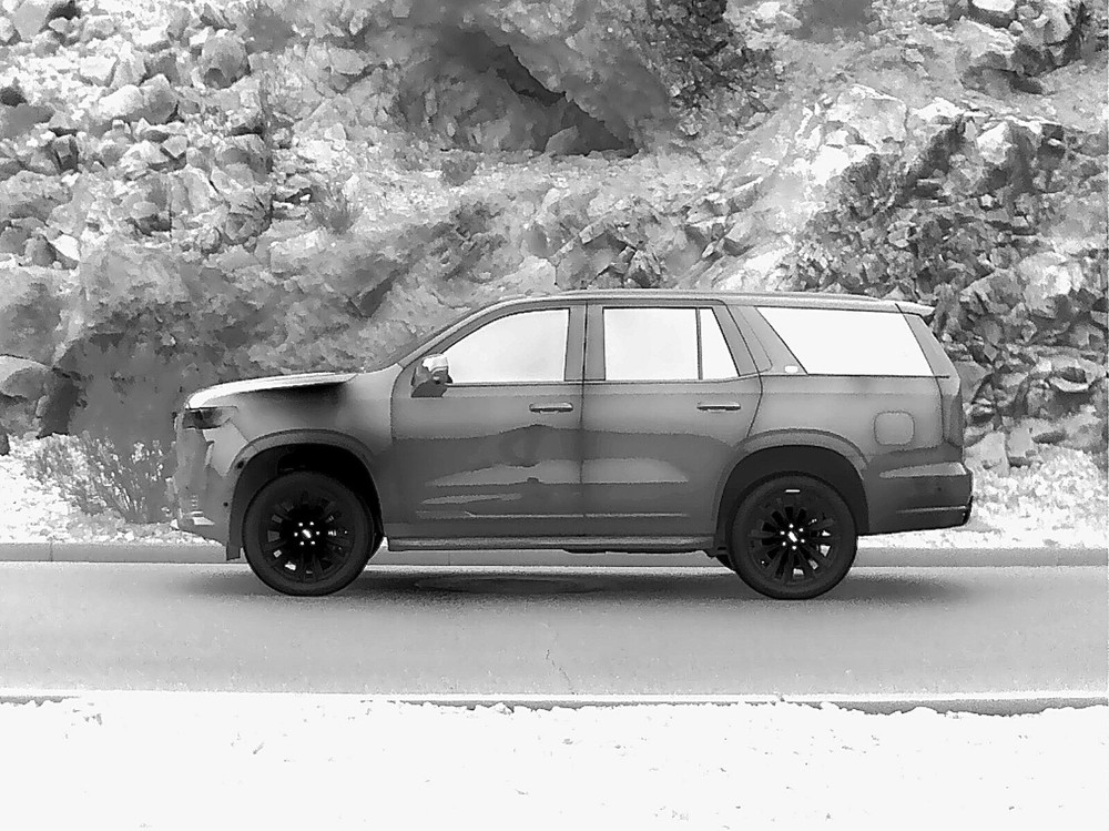 Long range thermal camera HD FLIR PTZ IP stabilized security imaging IR Vision