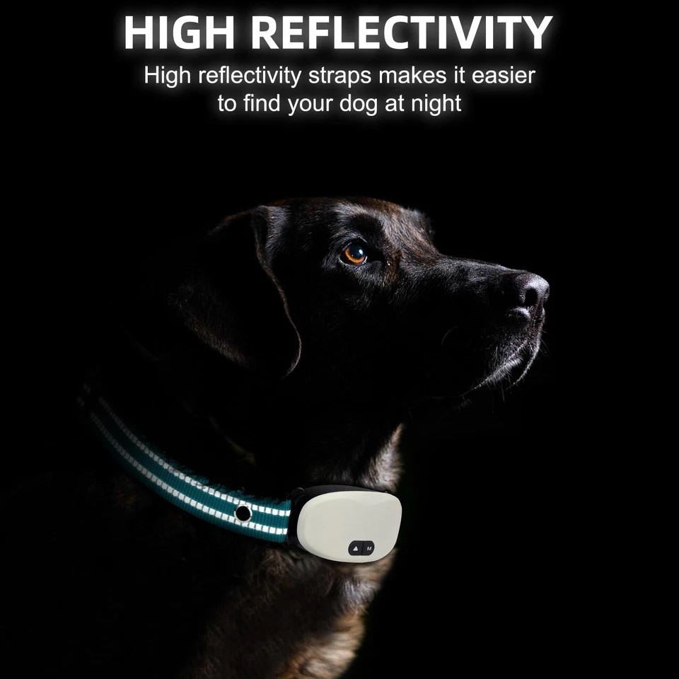 Collar Replacement Strap, Reflective Nylon Strap Dog Green