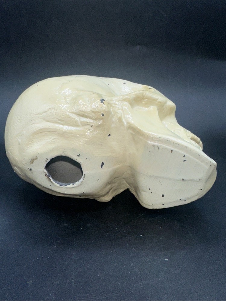 Painted cast Metal Skull