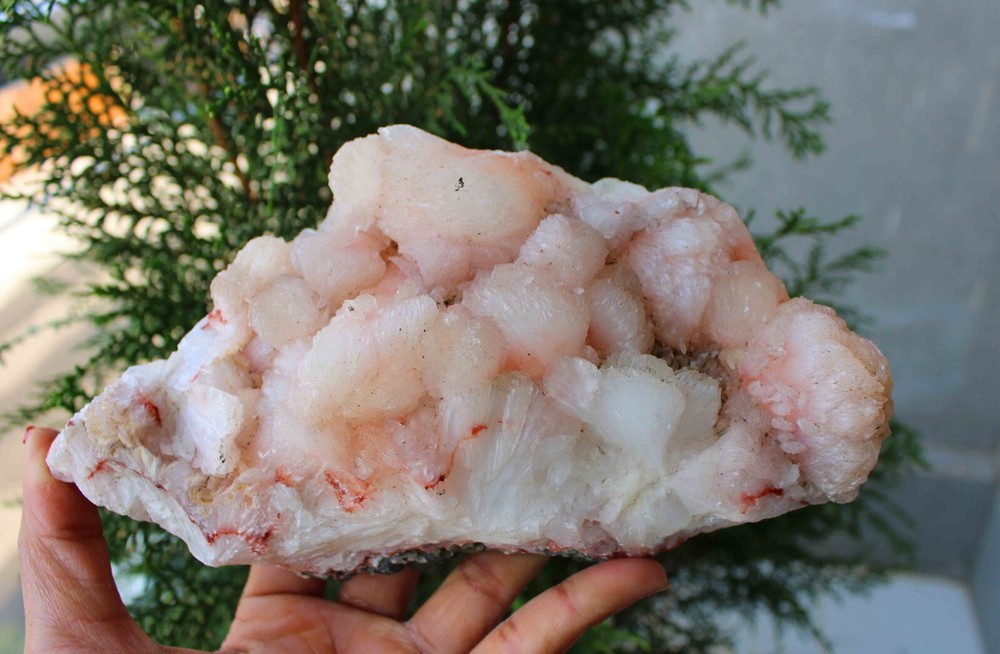Stilbite On Matrix Minerals Specimen #M19