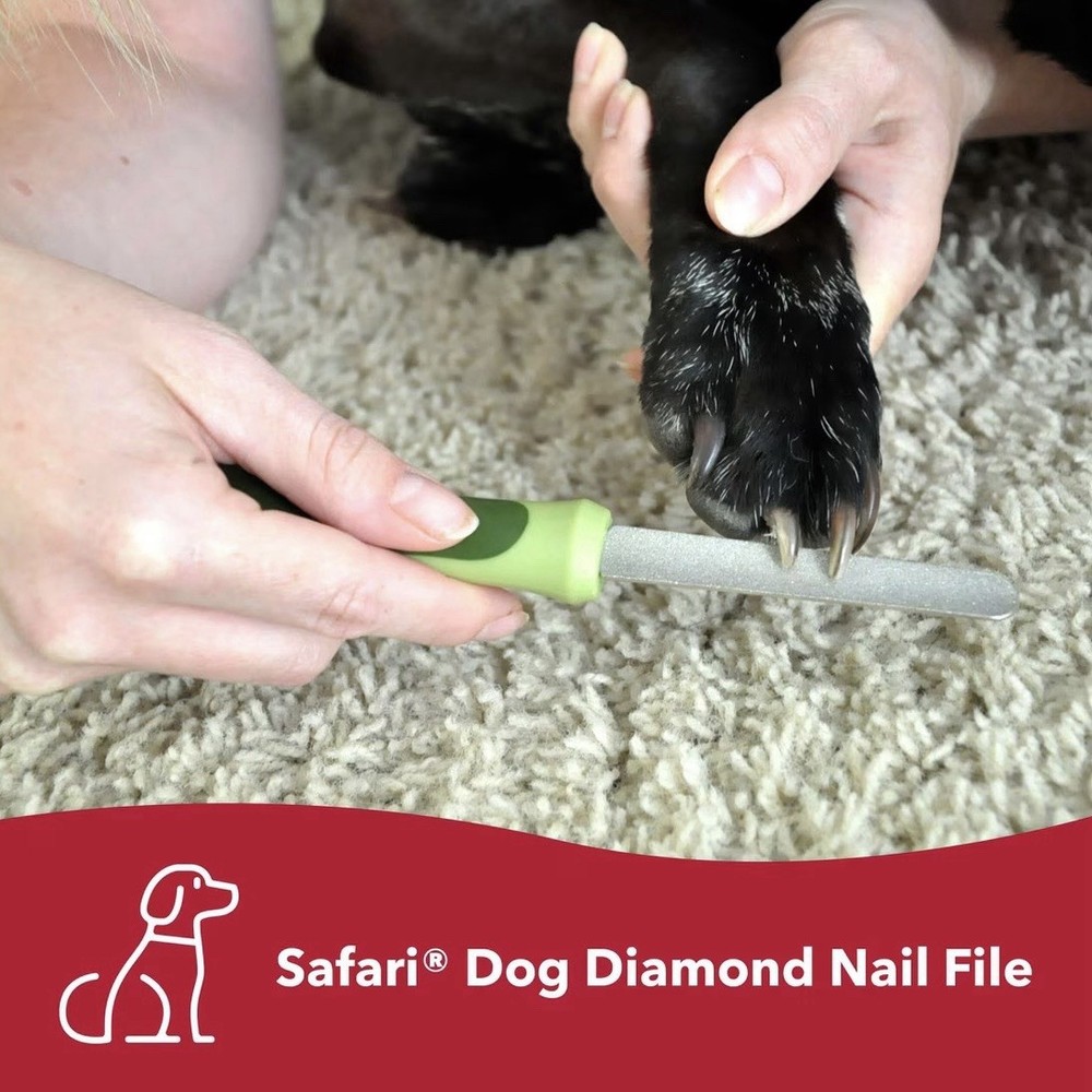 Dog Nail File