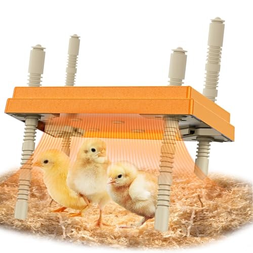 Brooder Plate with Adjustable Temperature & Height,10" x 10" Chick Heat Plate