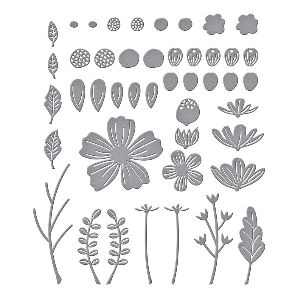 Spellbinders Etched Dies-Be Bold Blooms