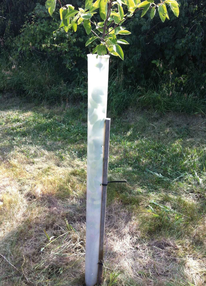 MIRACLE TUBE TREE SHELTERS (5)