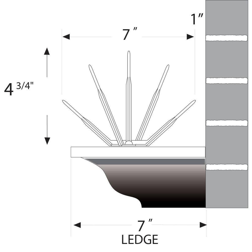 Clear Plastic Bird Spike - 50 Ft. X 7 In.