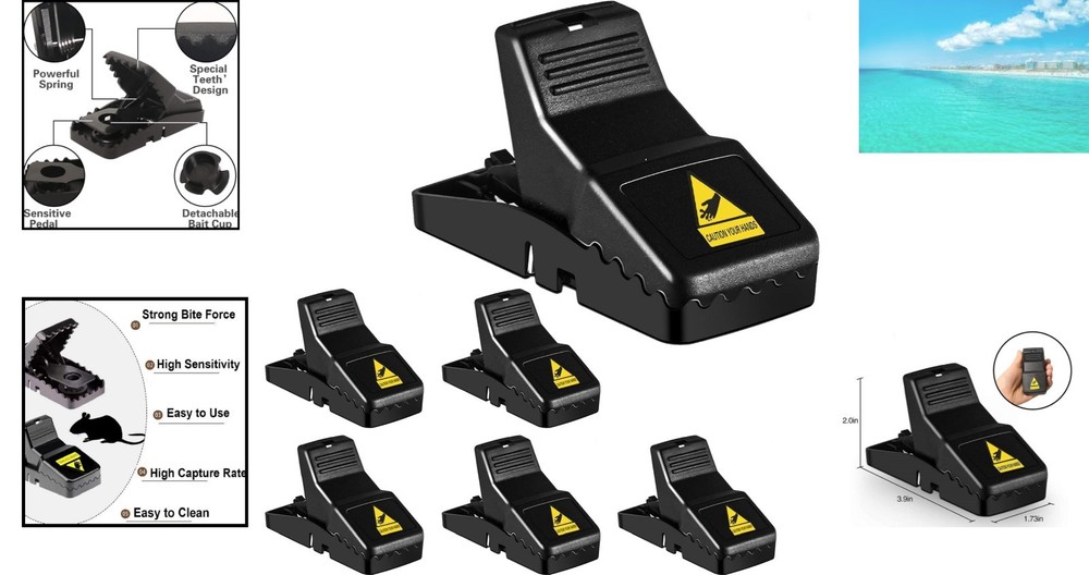 Safe 6-Pack Mice Traps for Indoor Use - Quick & Effective Rodent Control