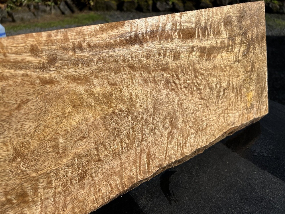 Hawaiian Curly Mango Board #14063