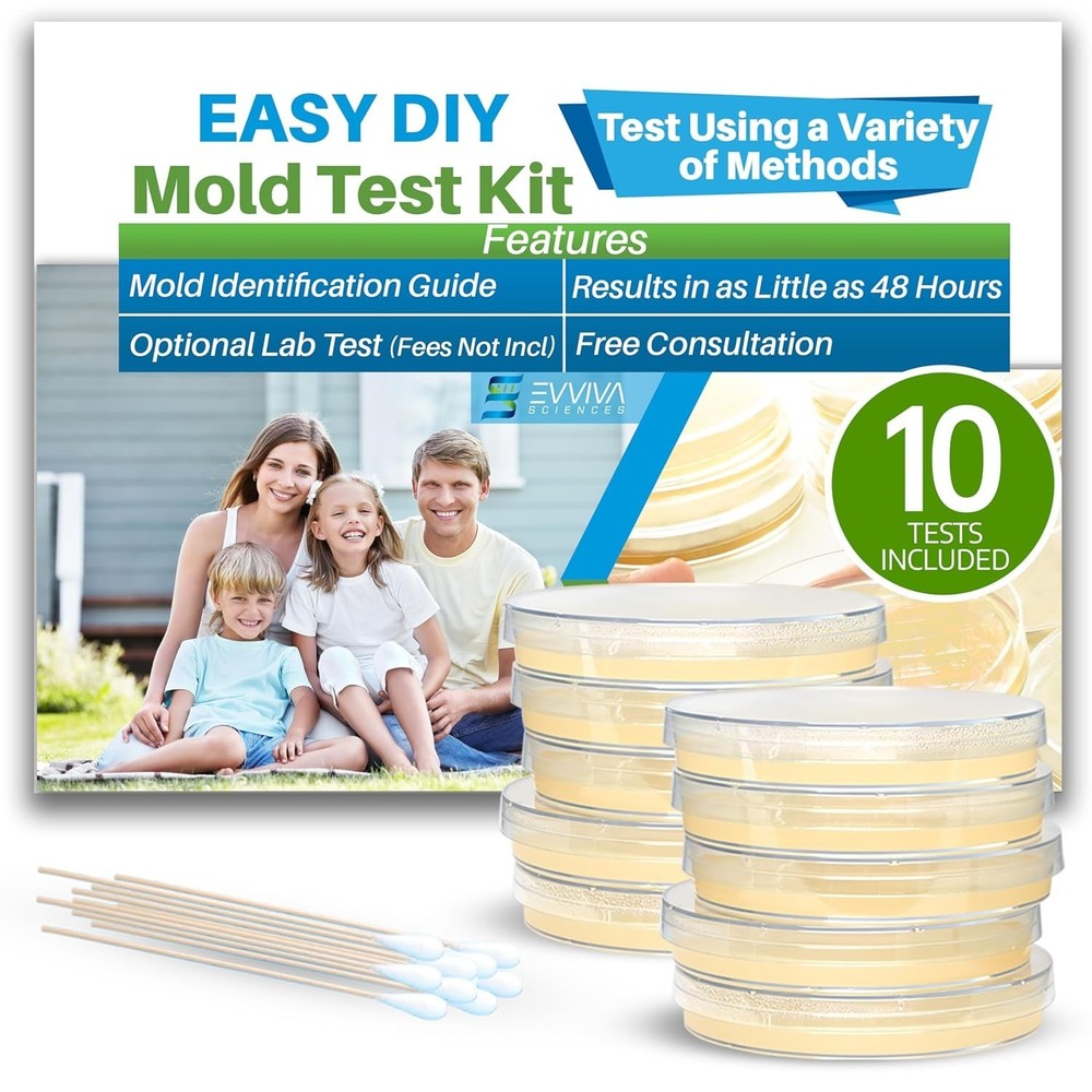 Indoor Mold Kit: 10 Easy Detection Tests + Comprehensive Information Guide