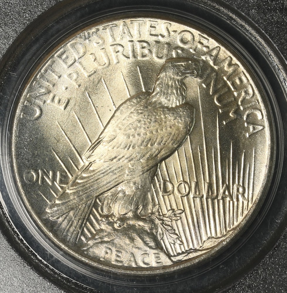 1925 P Peace Silver Dollar PCGS MS-66