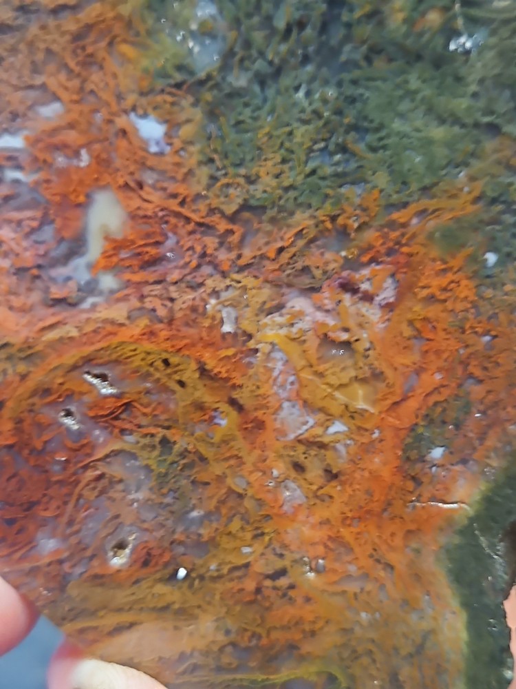 Murray Mountain Moss Agate Slab Specimen (14 oz)