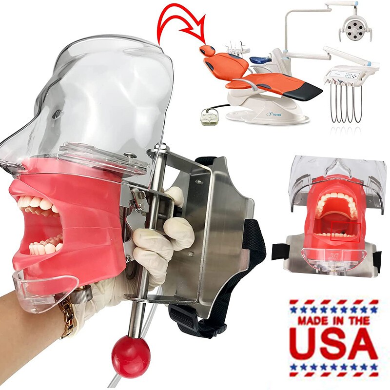 Student Dental Teaching Head Mold Oral Simulation Simple Head Mold Adjustment2pc