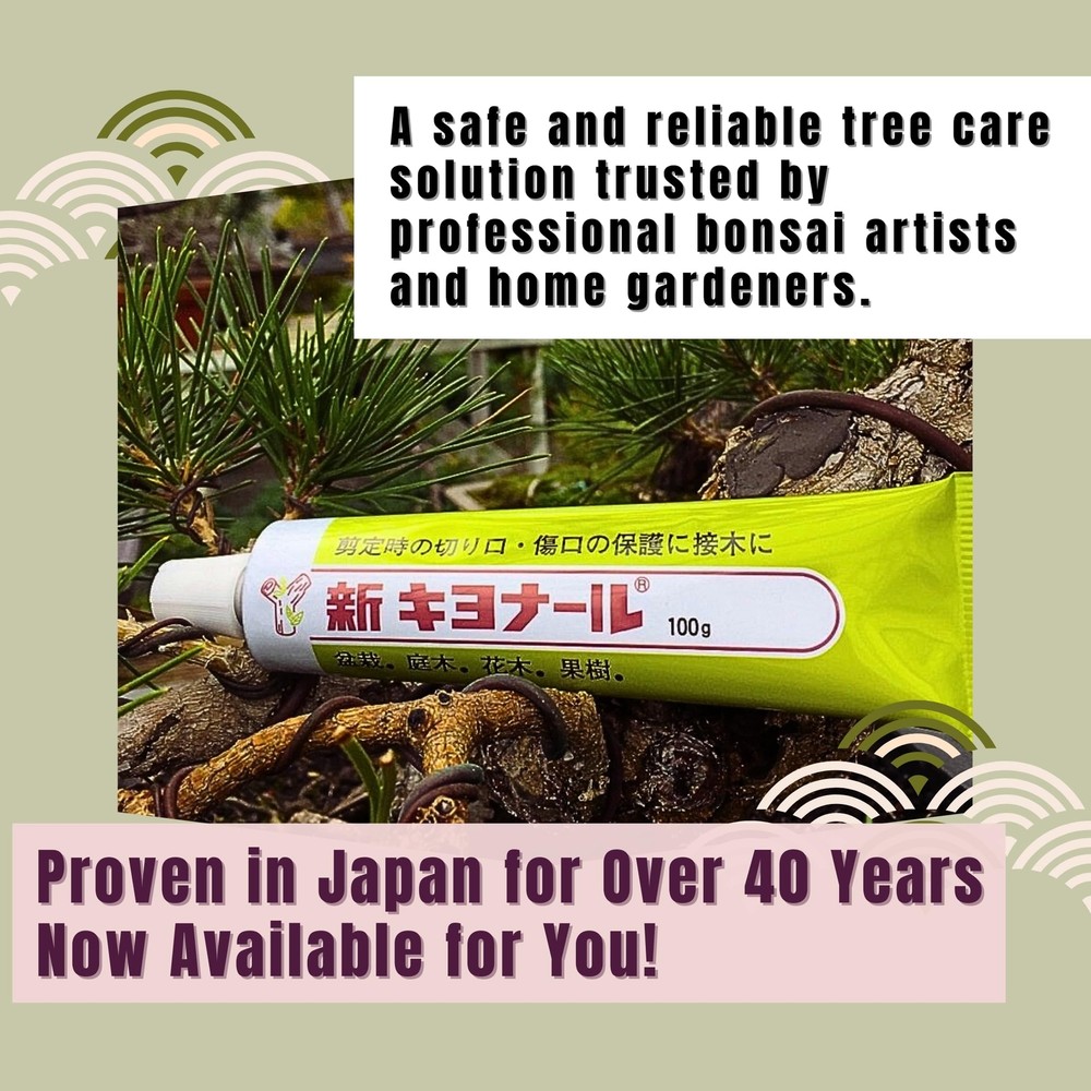 Japanese Bonsai Cutting Paste Kiyonal 100g Quick Dry Authentic Tool