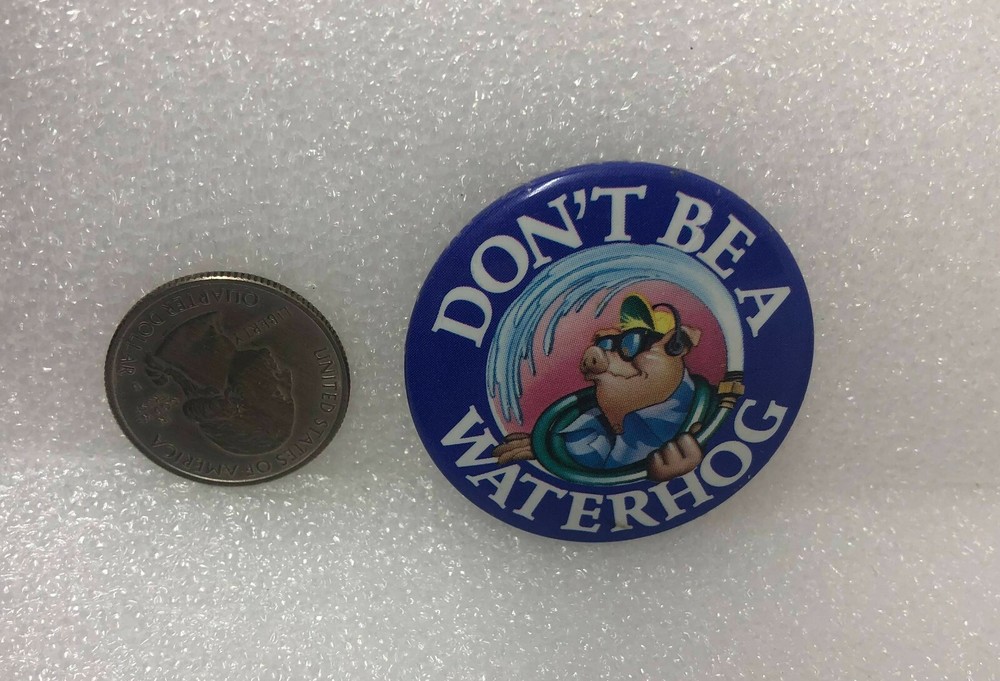 Don't Be A Waterhog California Pin