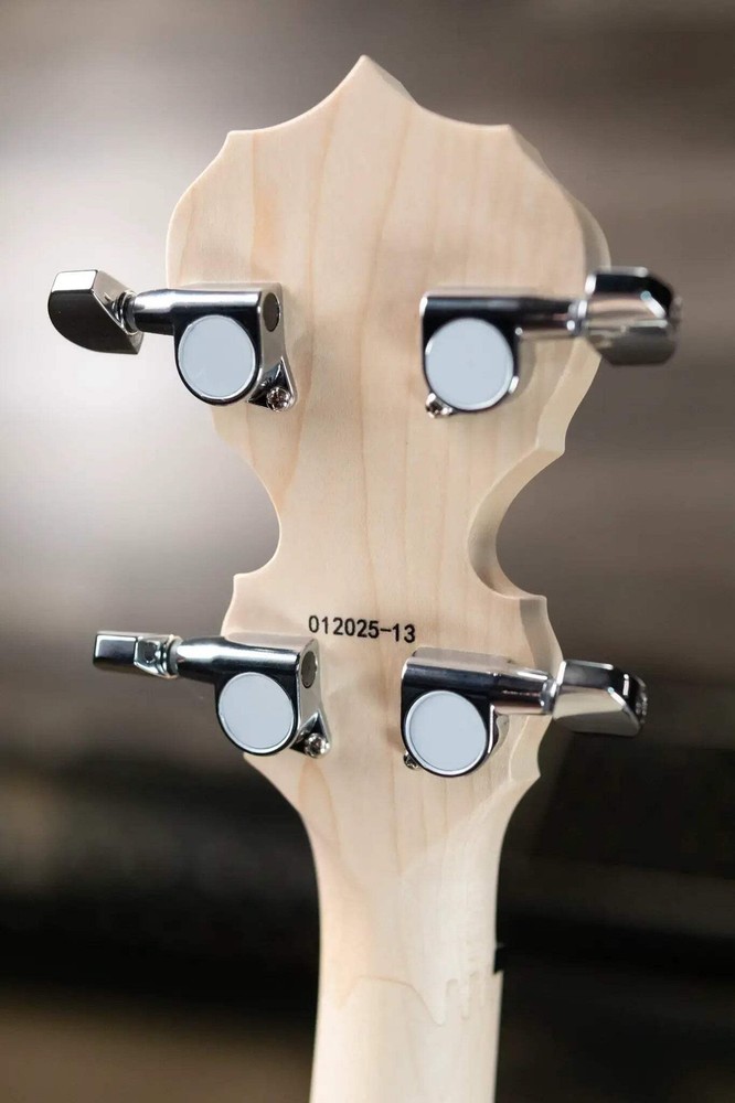 Deering Goodtime Two 5-String with Resonator Banjo