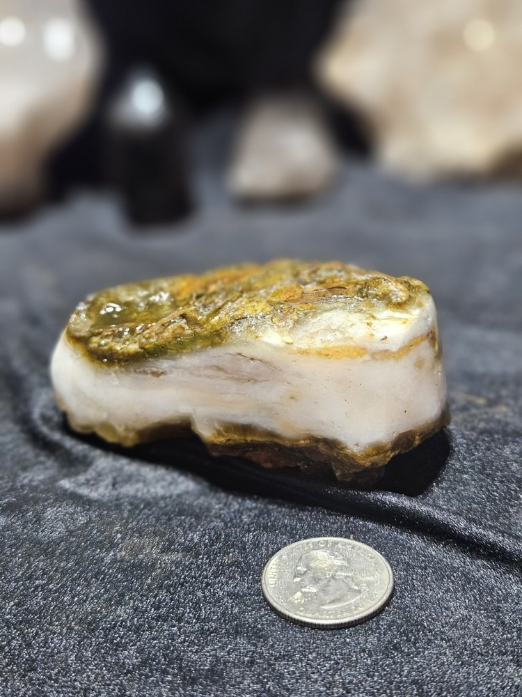 Petrified Wood Opalized Multicolored Polished Specimen (8.4oz)