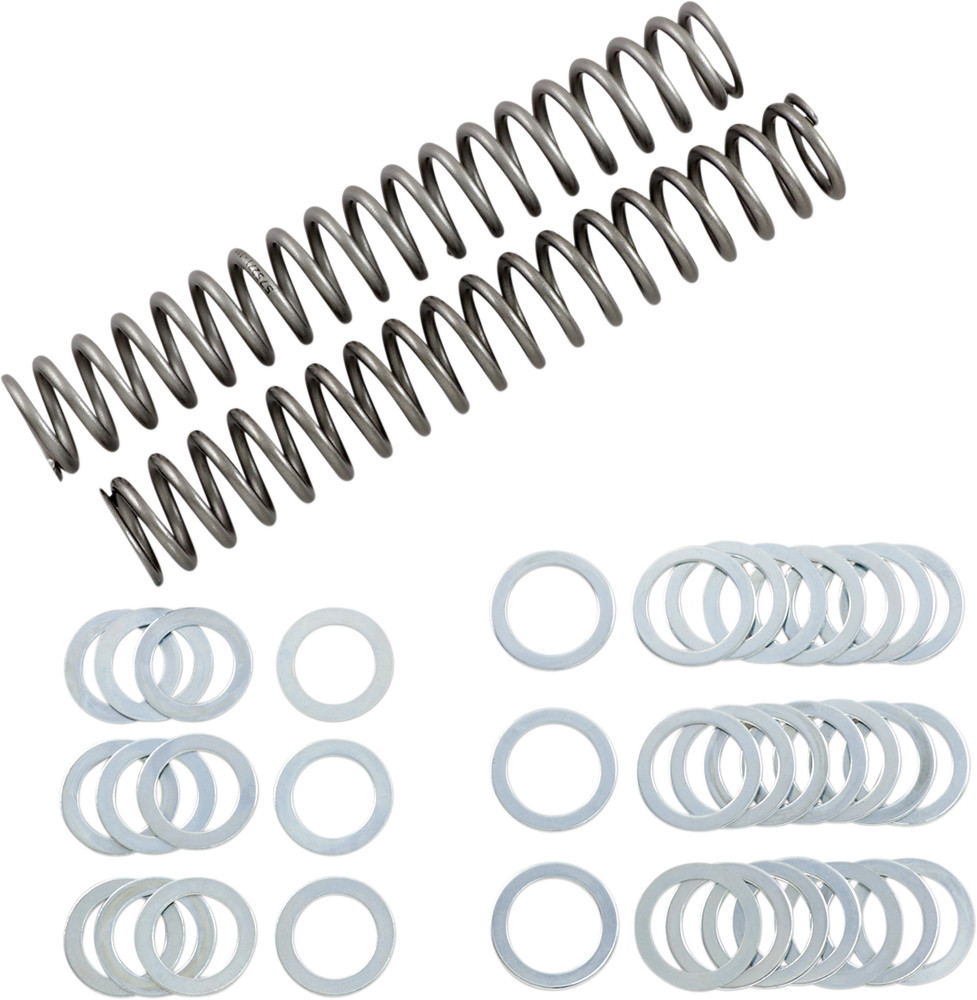 RACE TECH FRSP S3825110 SPRING FORK 1.10KG