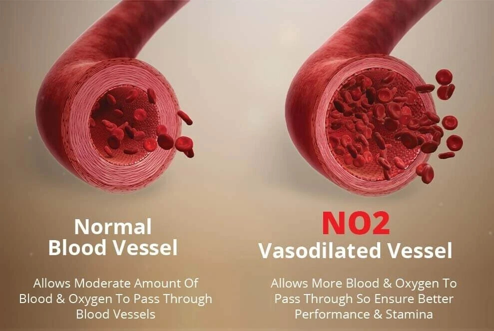 TestForm-X + NO2 Max (1 of each) - Save 20% with Combo!