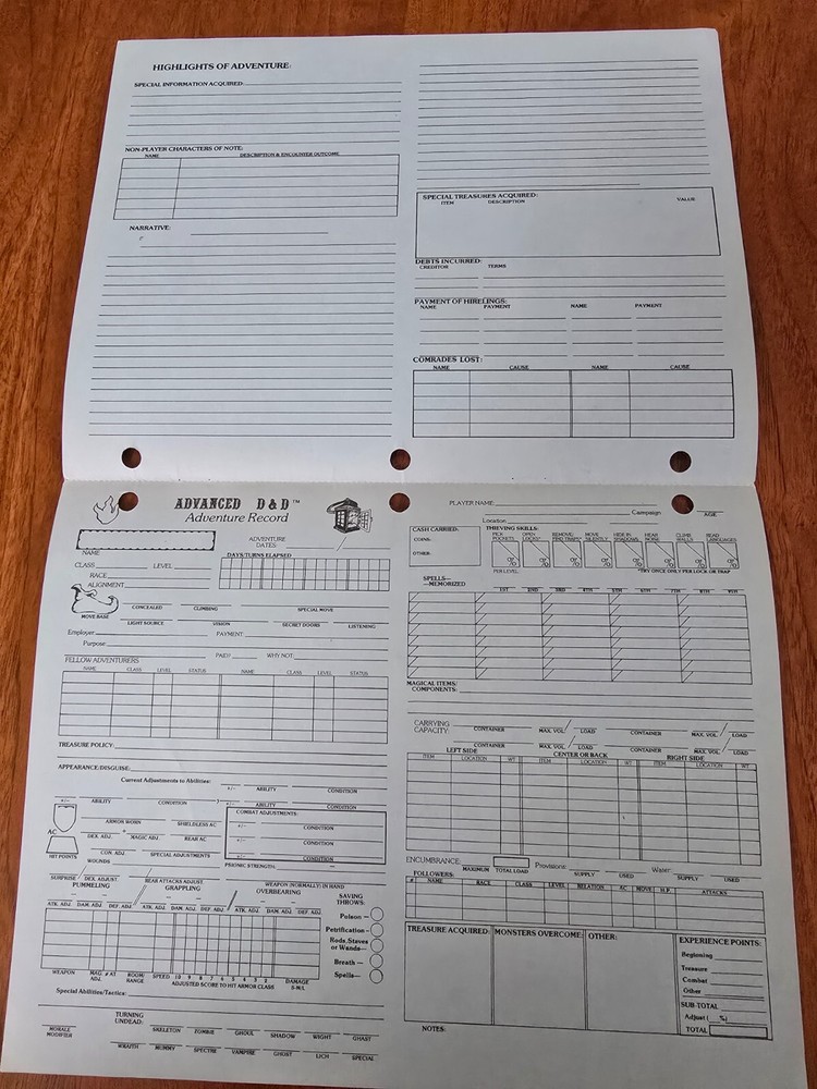 AD&D Adventure Record Double Sheets from Permanent Character Folder 9029 TSR