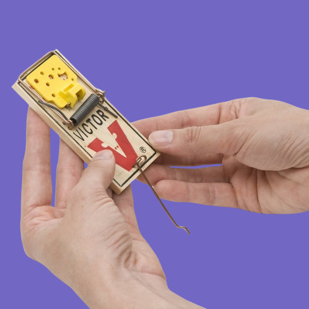 Easy Set Mouse Traps, 2-Pack, - (4 count )