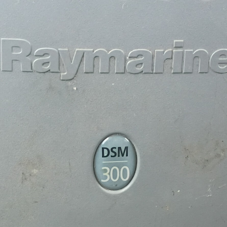 Raymarine DSM300