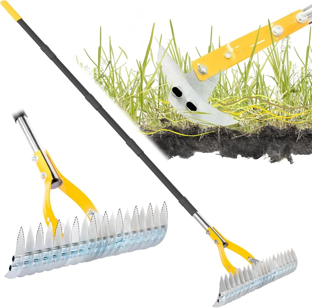 Thatch Rake / Dethatcher Rake