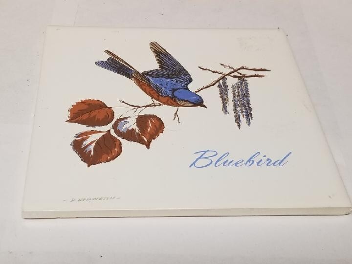 6" X 6" Screen craft Tile Bluebird