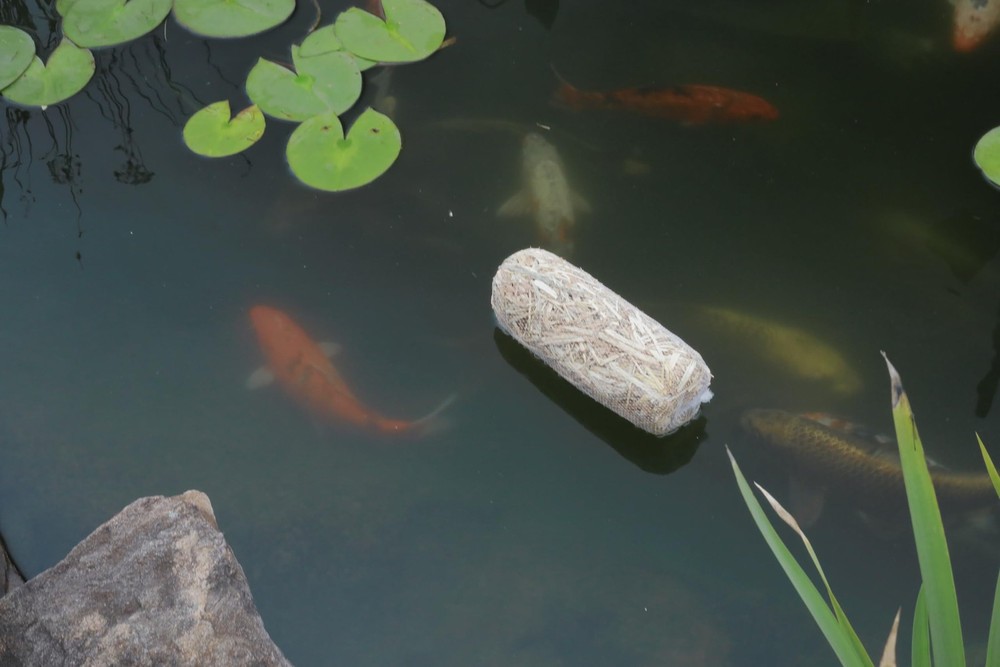 130 2-Pack Barley Straw Bales - Quantity 1