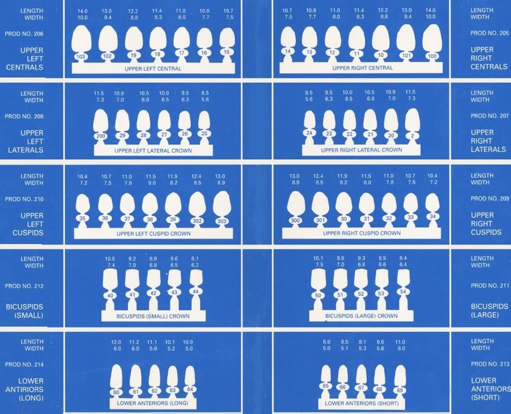 DENTAL POLYCARBONATE TEMPORARY CROWNS #17 (ULC) UPPER LEFT CENTRAL 5/PACK