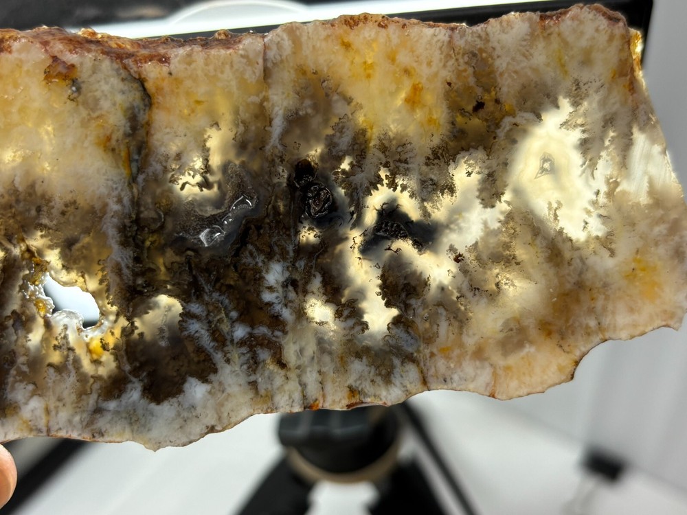 Plume Agate slab Cabbing Lapidary Combo Ship Avail Oregon