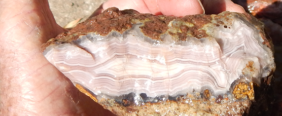 Laguna Agate Cabbing rough