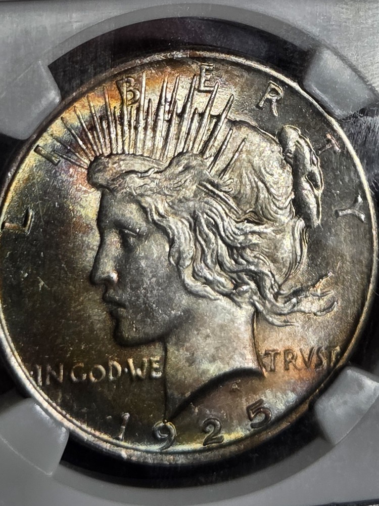 1925 $1 Peace Dollar NGC MS65 Toned
