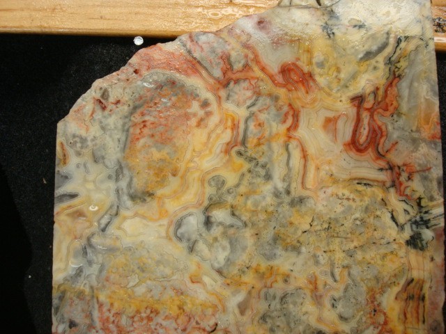 australlian crazy lace 2 slabs
