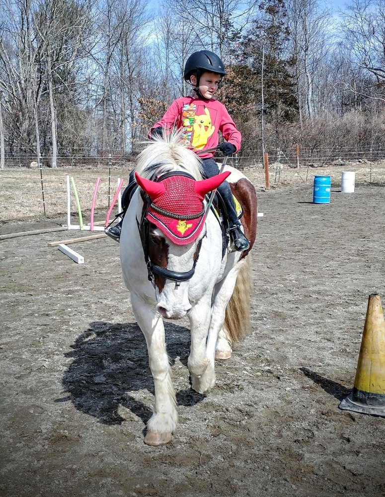 Pikachu Pokemon Saddle Pad Handmade Pony Size with Bonnet