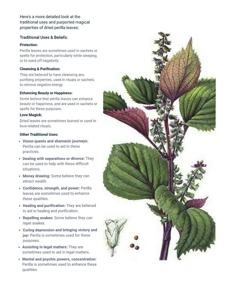Perilla Mint Leaf Herb Wild Crafted For Rituals 1/2 Oz.
