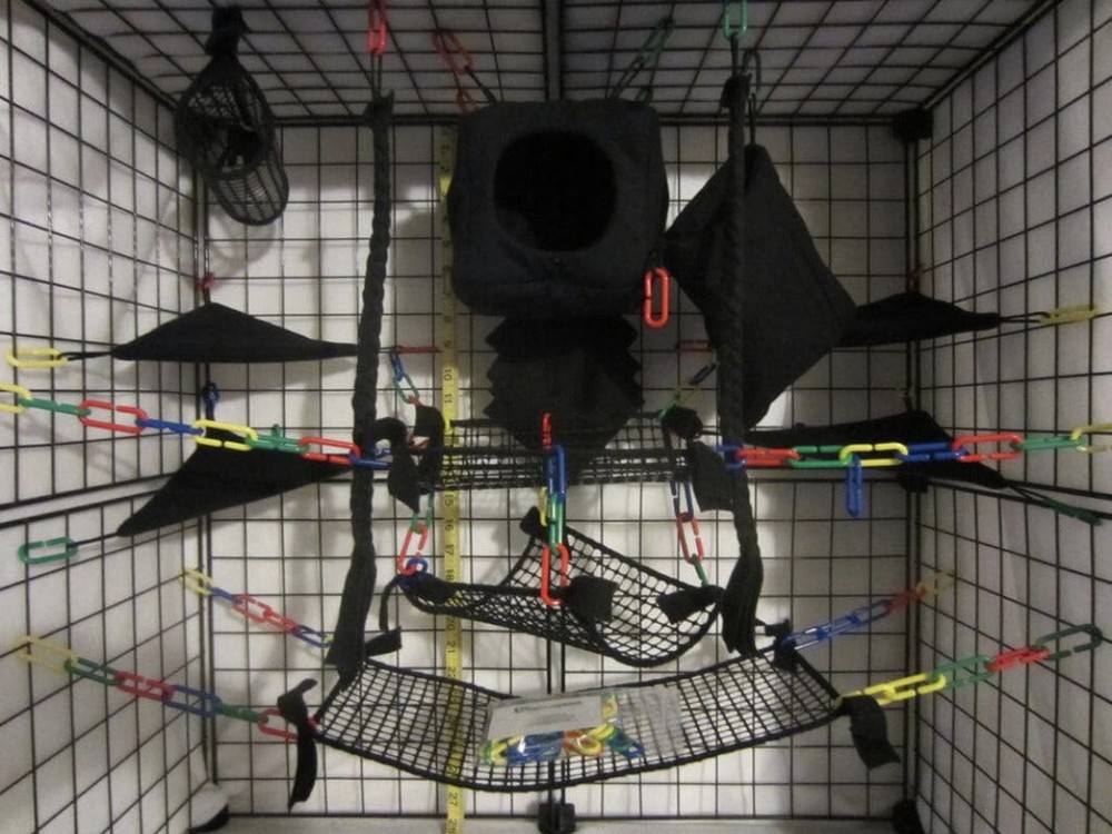 15 pc - Cube Black Mesh Sugar Glider Cage Set | Sugar Glider Accessories