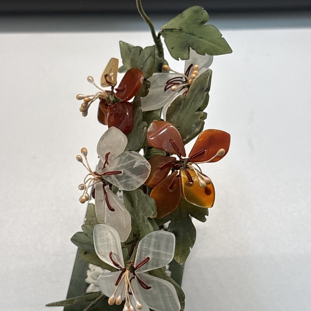 Curved Chinese Jade Tree