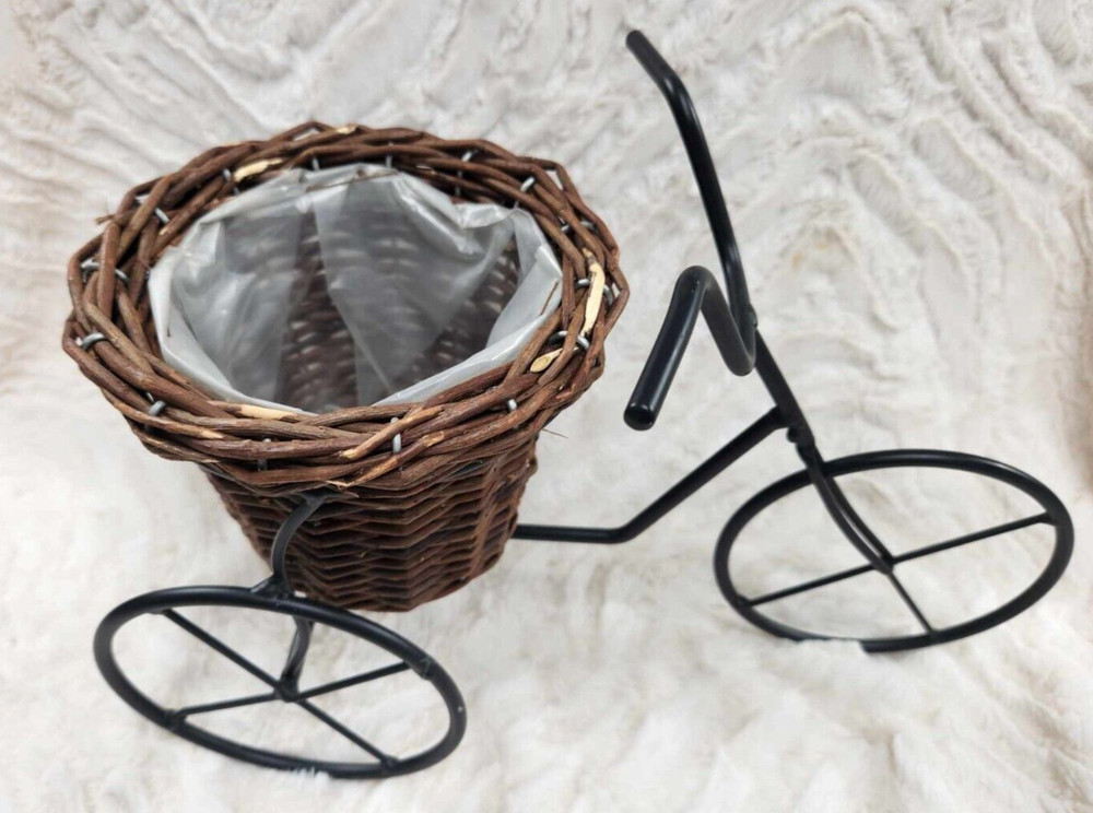Tricycle Catchall Wicker Iron Planter