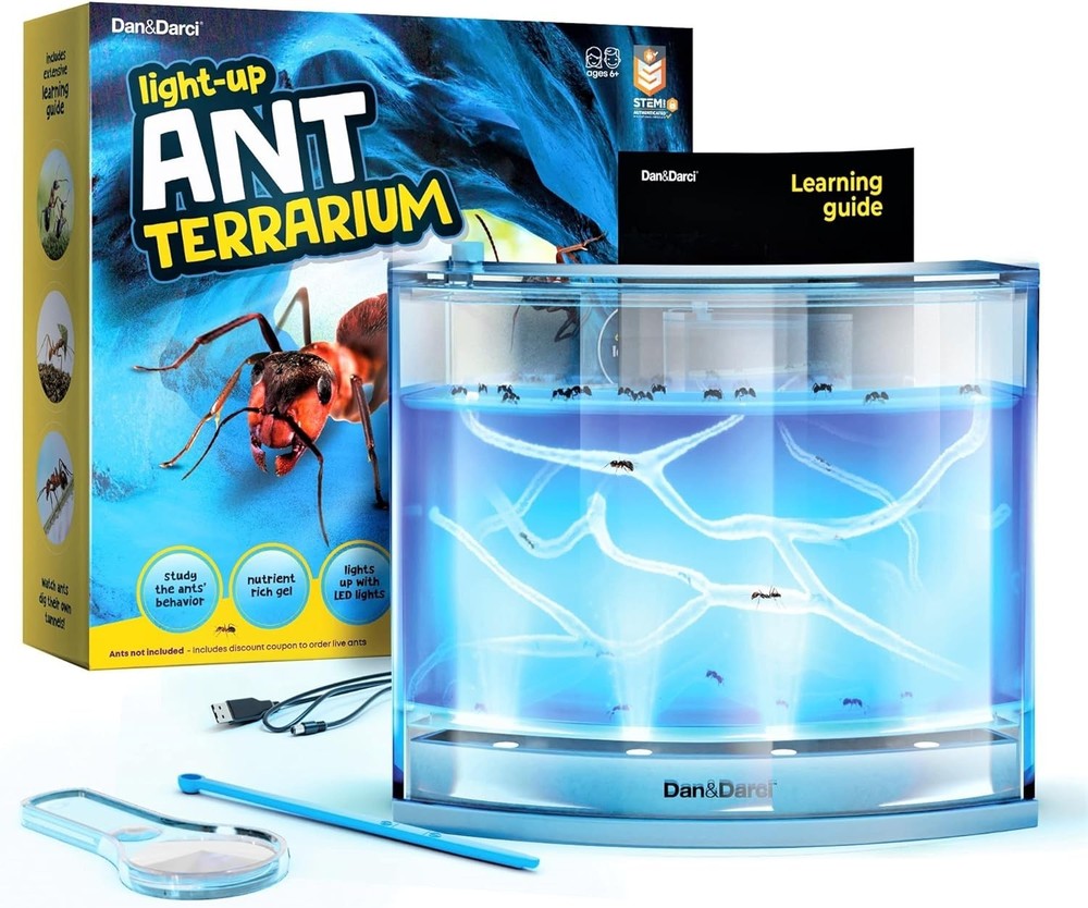 Interactive LED Ant Habitat for Children