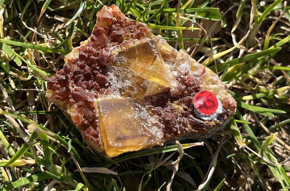 Yellow Cubic Fluorite With Garnet