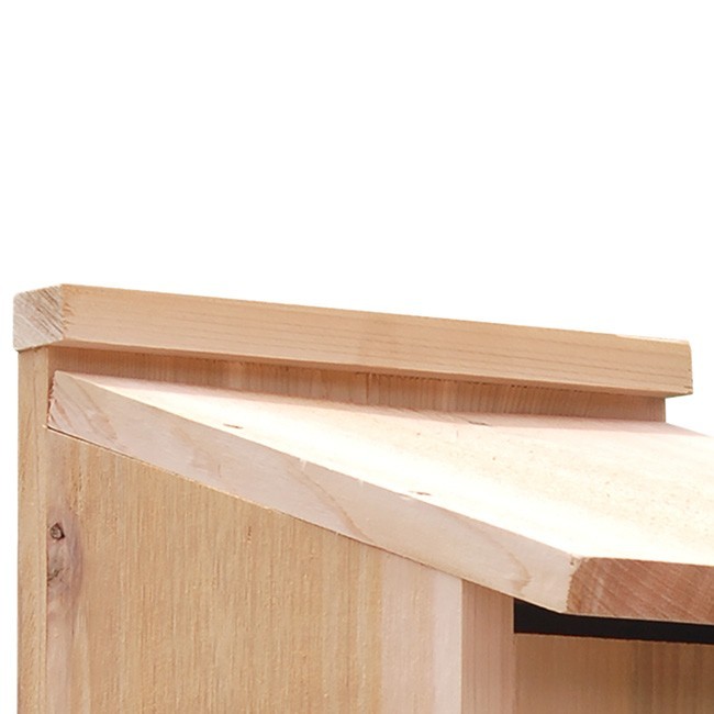 Audubon Wood Duck House