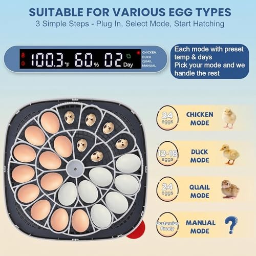 24 Egg Incubators for Hatching Eggs - Automatic Temperature Control and Blue