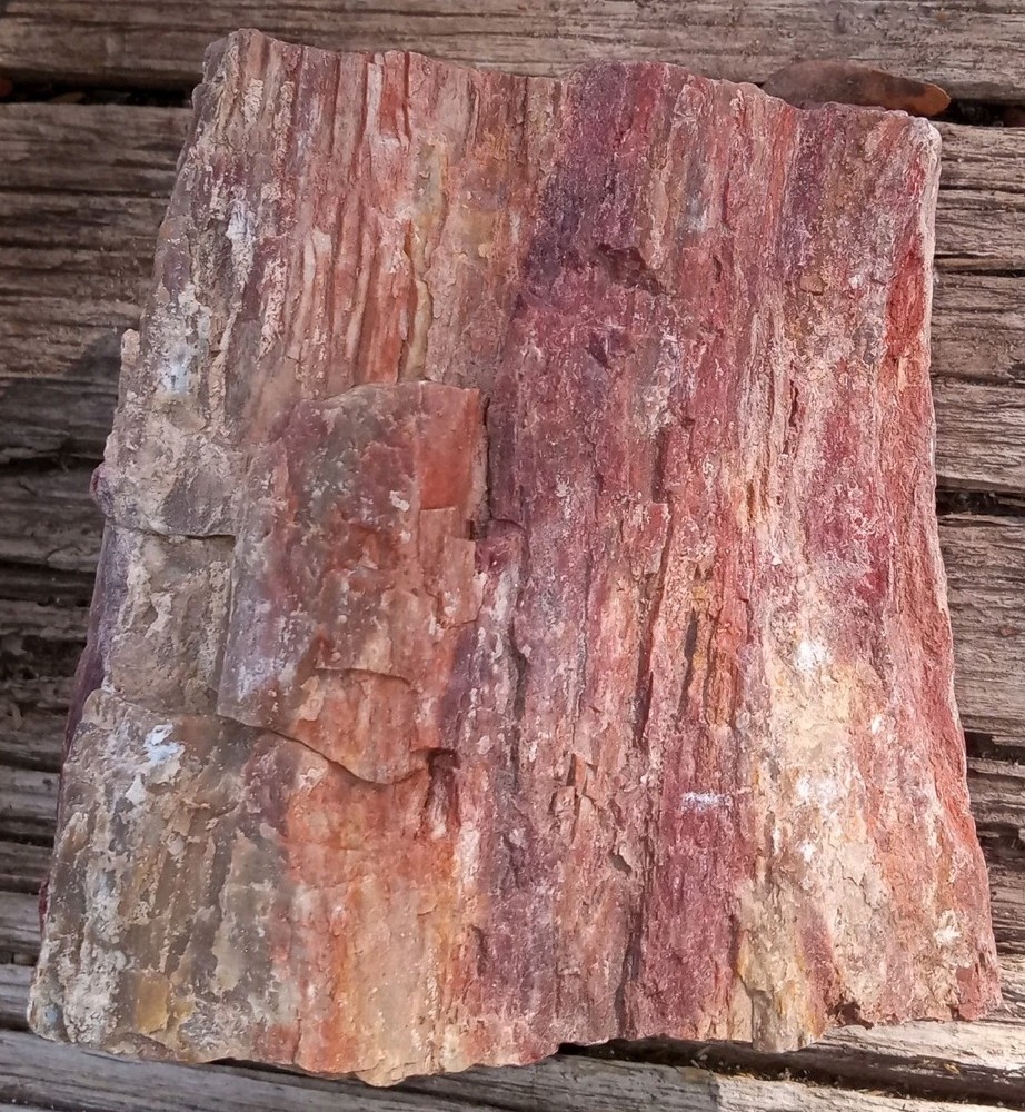 Rainbow Petrified Wood Rough AZ 2 lbs