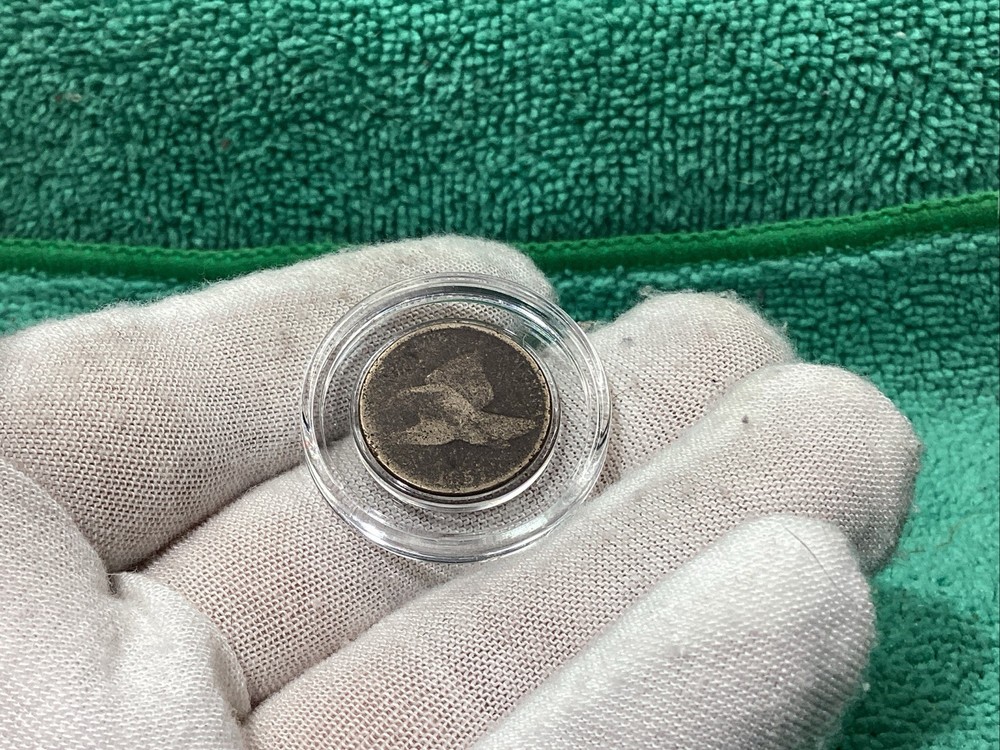 1857 FLYING EAGLE 🦅 PENNY THE 1st SMALL CENT SERIES DECENT REVERSE🤓