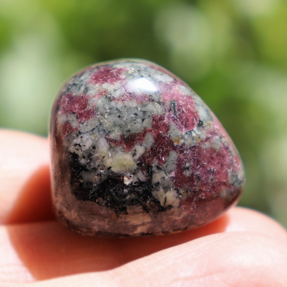 Polished Eudialyte, Fluorescent Mineral (EUD23)