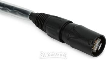 Accu-Cable CAT6PRO10 Cat6 etherCON Cable - 10'