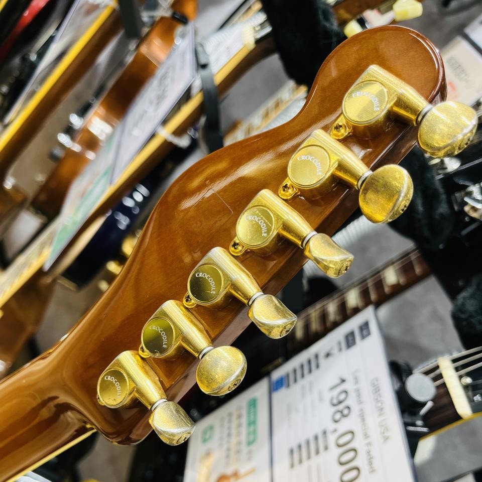 Moon Moon Teletype Order Model