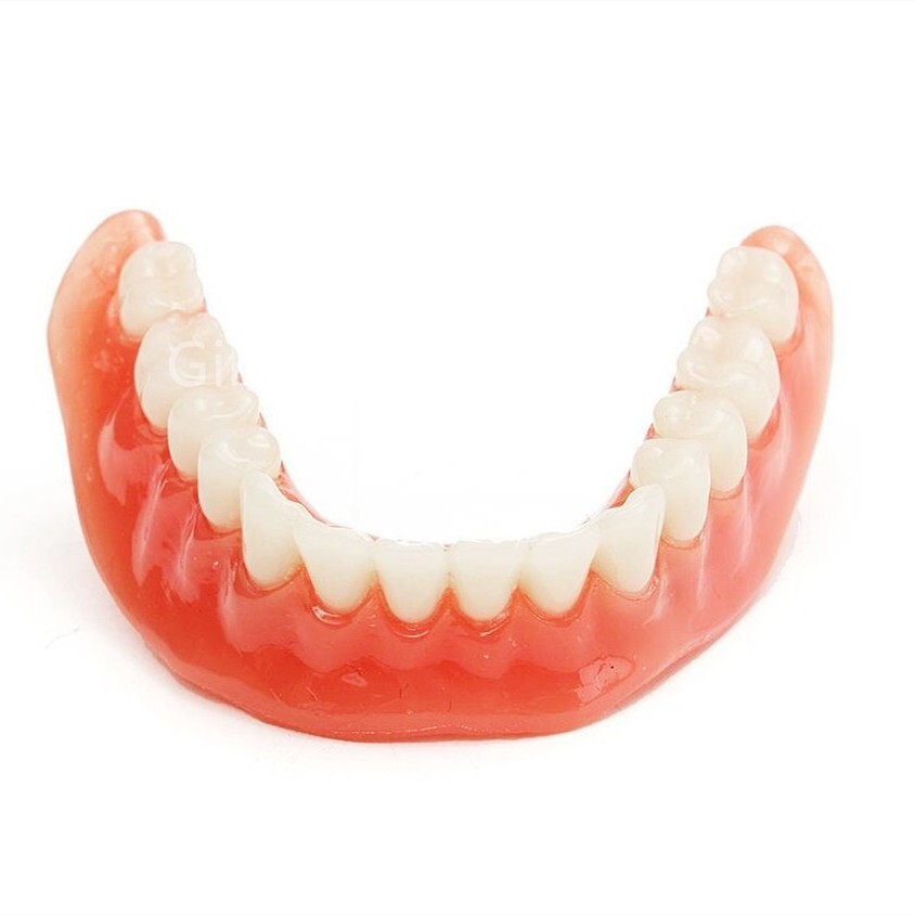 Dental Study Teach Teeth Model With Overdenture Inferior Demo 4 Implants